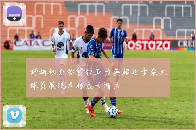 舒梅切尔称赞拉亚为英超进步最大球员展现卓越成长潜力